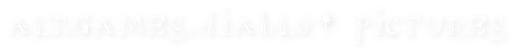 alt.games.diablo* pictures